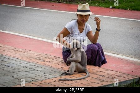 Femme thaïlandaise à sarong et fedora blanc assis sur le trottoir en regardant le singe Duskey à Khoa Lommuak Thaïlande Banque D'Images