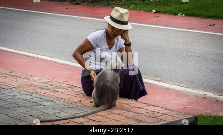 Femme thaïlandaise à sarong et fedora blanc assis sur le trottoir en regardant le singe Duskey à Khoa Lommuak Thaïlande Banque D'Images