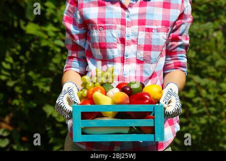 Femme tenant la caisse avec des fruits et des légumes à l'extérieur Banque D'Images