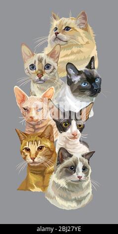 Poster vertical vectoriel avec différents chats reproduit des portraits isolés sur fond gris. Les chats vectorisés vintage dans un style réaliste.image pour Illustration de Vecteur