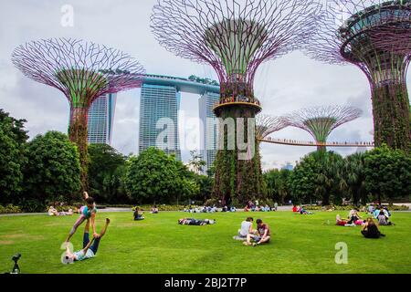 Super lumineux tree groves au bay front gardens également connu sous le nom de jardins au bord de la baie de nuit,avant,Baie de Marina Bay, Singapour,PRADEEP SUBRAMANIAN Banque D'Images