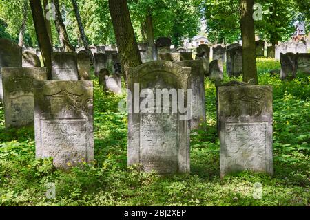 Pierres tombales dans l'ancien cimetière juif de Piotrkow Trybunalski, Mazovia occidental, Pologne Banque D'Images