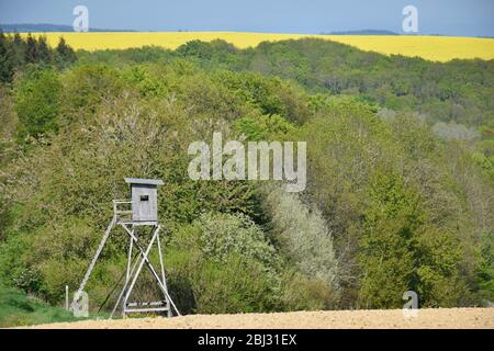 Paysage pittoresque avec forêt, champs et chasseurs belvédère dans les montagnes de l'Eifel Allemagne Banque D'Images
