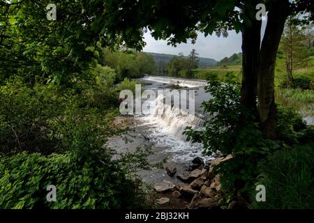 Warleigh Weir sur la rivière Avon dans le Somerset, près de Bath au printemps. Banque D'Images