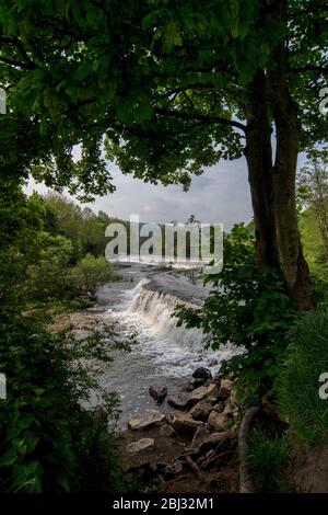 Warleigh Weir sur la rivière Avon dans le Somerset, près de Bath au printemps. Banque D'Images
