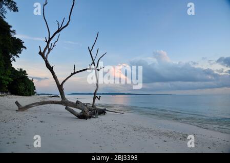 Lever du soleil sur la plage, l'île d'Andaman Banque D'Images