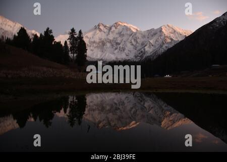 Nanga Parbat s'imposant au-dessus de la nature sauvage verdoyante près des prés de Fairy, Pakistan. Banque D'Images