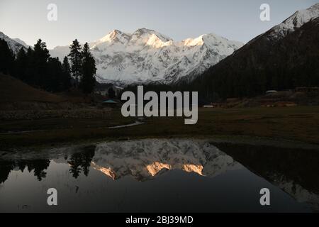 Nanga Parbat s'imposant au-dessus de la nature sauvage verdoyante près des prés de Fairy, Pakistan. Banque D'Images