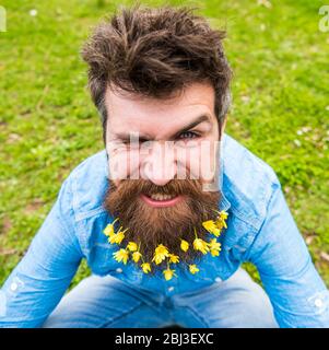 Hipster sur le visage de winking se trouve sur l'herbe, démoutilisés. Concept de saison de printemps. Guy avec des fleurs de celandine moindre dans la barbe prenant la photo de selfie. L'homme avec barbe aime le printemps, le vert pré fond Banque D'Images