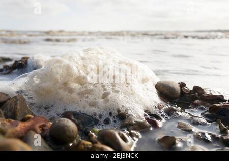 Gros plan sur une grande mousse de mer bouillonnante sur des galets avec des vagues qui s'écrasant en arrière-plan sur une plage britannique à Seasalter Kent, Angleterre Banque D'Images