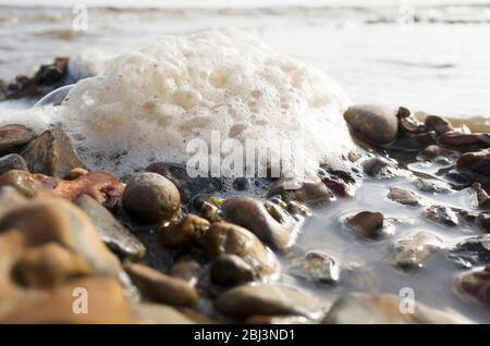 Gros plan sur une grande mousse de mer bouillonnante sur des galets avec des vagues qui s'écrasant en arrière-plan sur une plage britannique à Seasalter Kent, Angleterre Banque D'Images