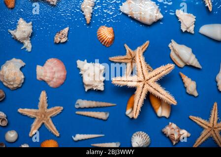 Coquillages et symboles d'été Starfish plat toile de fond, été saison de vacances résumé Banque D'Images