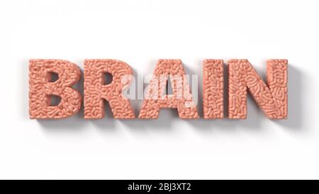 cerveau en cerveau humain. adapté aux thèmes du cerveau, de la biologie, de la médecine, de la science et de la police. Illustration tridimensionnelle Banque D'Images