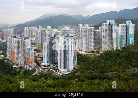 Shui Chuen O Estate, Hong Kong le 7 mars 2020. C'est le plus grand domaine de logements publics de Shatin et est assis sur une colline. Banque D'Images