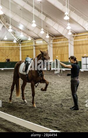 Formation de dressage au centre équestre Pineland Farms. Banque D'Images