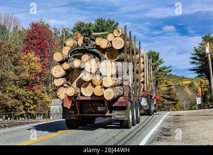 Camion transportant du bois brut récolté dans le Maine. Banque D'Images