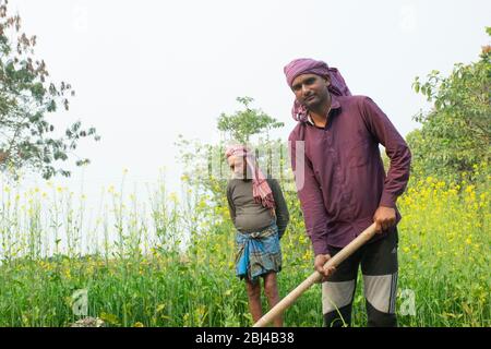 Agriculteur indien faisant du travail agricole, Inde Banque D'Images