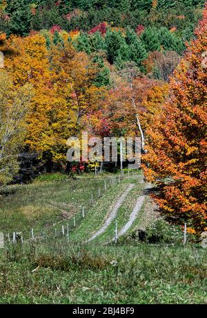 Route de campagne non pavée à Stowe, dans le Vermont. Banque D'Images