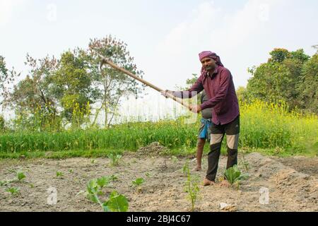 Agriculteur indien faisant du travail agricole, Inde Banque D'Images