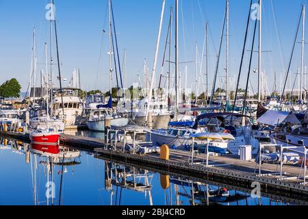 Bateaux dans le port de Squalicum. Banque D'Images