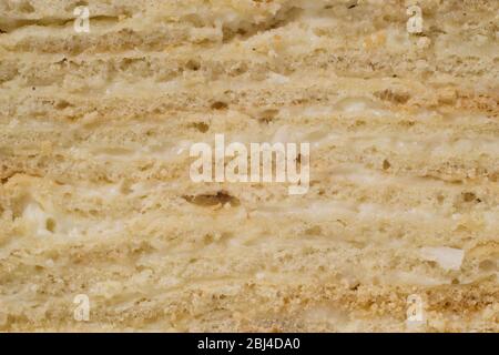 Photo d'un gâteau à plusieurs couches fait maison avec crème sure, gros plan Banque D'Images