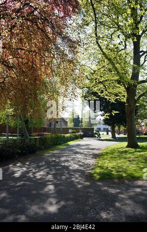 Lumière du soleil à travers les arbres le long d'un chemin dans le parc local au printemps dans BOSTON Lincolnshire, Banque D'Images