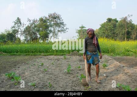 Agriculteur indien faisant du travail agricole, Inde Banque D'Images