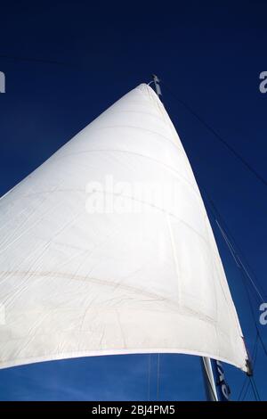 White Sail, Grande barrière de corail, Hamilton Island, Queensland, Australie Banque D'Images