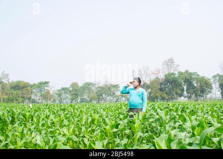 Un agriculteur indien parle sur téléphone mobile dans le domaine de l'agriculture Banque D'Images