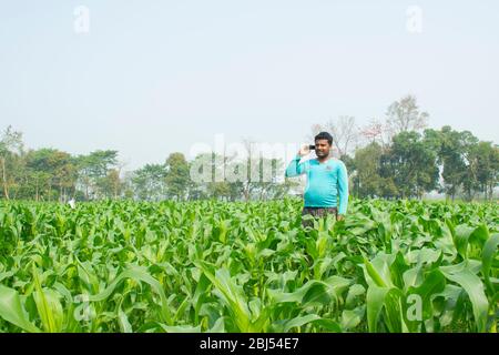 Un agriculteur indien parle sur téléphone mobile dans le domaine de l'agriculture Banque D'Images