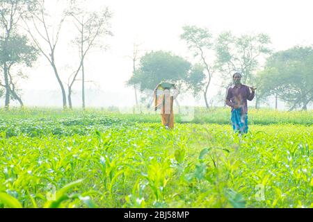 Couple d'agriculteurs indiens travaillant sur le terrain Banque D'Images