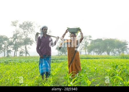 Couple d'agriculteurs indiens travaillant sur le terrain Banque D'Images