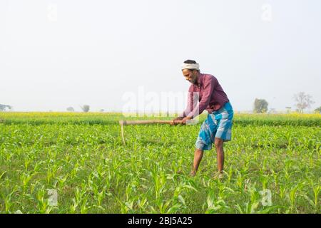 L'agriculteur indien travaille dans le domaine de l'agriculture Banque D'Images