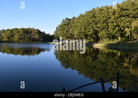 Arbres parfaitement reflétés sur l'eau bleu placide dans un parc public. Bagno di Romagne, Emilie Romagne, Italie Banque D'Images