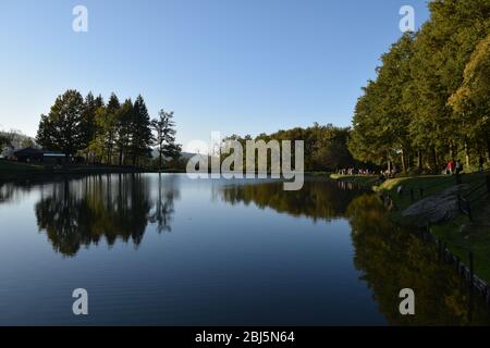 Arbres parfaitement reflétés sur l'eau bleu placide dans un parc public. Bagno di Romagne, Emilie Romagne, Italie Banque D'Images