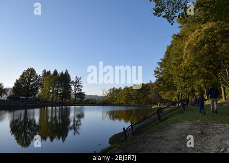 Arbres parfaitement reflétés sur l'eau bleu placide dans un parc public. Bagno di Romagne, Emilie Romagne, Italie Banque D'Images