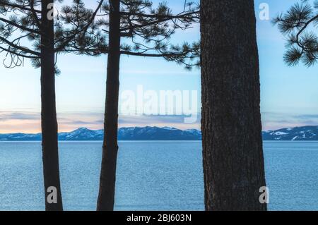 Vue panoramique sur le lac Tahoe au lever du soleil avec la silhouette de pins en premier plan, Californie, États-Unis. Banque D'Images