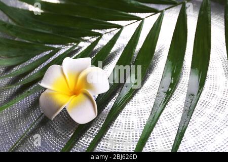 Belle composition de la fleur de frangipani sur les feuilles de palmier, gros plan Banque D'Images