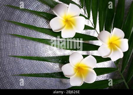 Belle composition de la fleur de frangipani sur les feuilles de palmier, gros plan Banque D'Images