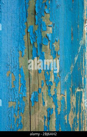 Peinture bleue écaillée sur le bois, la surface, Canada Banque D'Images