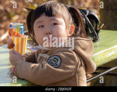 Une petite fille japonaise déguste un repas à l'extérieur du sanctuaire Taito dans le parc Ueno à Tokyo, au Japon Banque D'Images