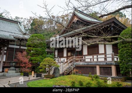 Temple Hokokuji à Kamakura, Japon Banque D'Images