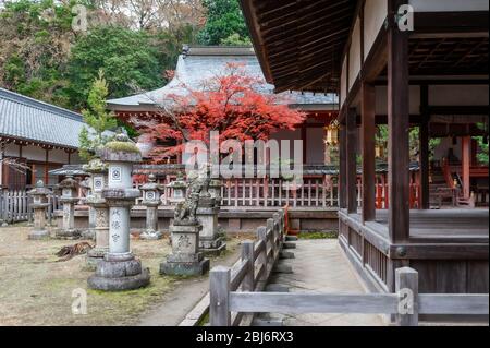 Sanctuaire de Tamukeyama Hachimangu à Nara au Japon. Banque D'Images