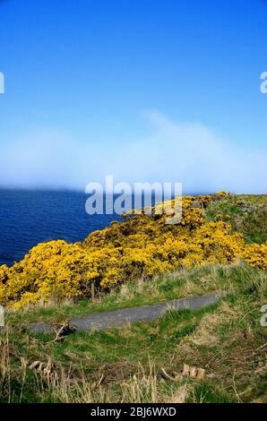 Brouillard marin approchant la côte des cinquimes près de St andrews, Écosse Banque D'Images