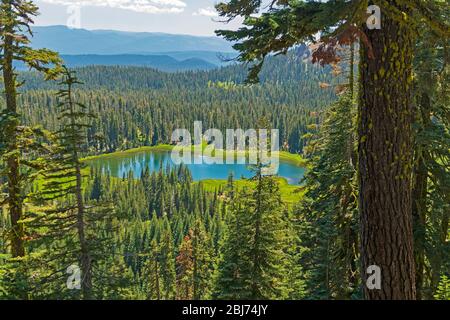 Lac Crumbaugh, qui s'affiche à travers les arbres du parc national volcanique de Lassen en Californie Banque D'Images