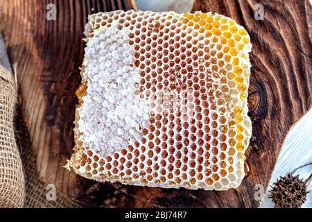 Gros plan magique en nid d'abeilles, récolte du miel, cueillette du miel. Nid d'abeilles biologique (miel de Karakovan turc) Istanbul, Turquie. Banque D'Images