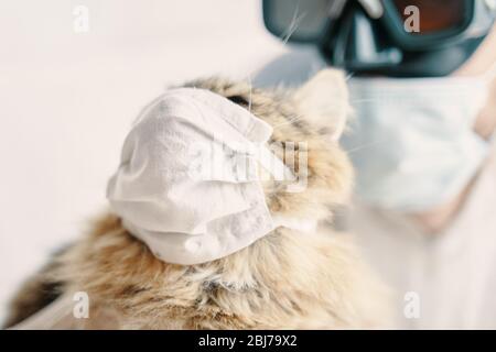 Médecin de l'homme dans des lunettes de protection avec les bras croisés et le chaton de chat est sûr du coronavirus dans le masque de protection médicale. Pandémie mondiale Banque D'Images