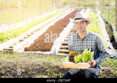 Portrait jeune homme asiatique souriant récolte et ramasser des légumes biologiques frais de cuisine jardin dans le panier dans la ferme hydroponique, l'agriculture et le culti Banque D'Images