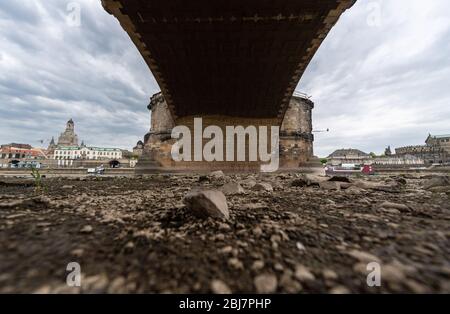 Dresde, Allemagne. 28 avril 2020. Les rives de l'Elbe sous l'arche du pont d'Augustusbrücke devant le paysage historique de la vieille ville avec la Frauenkirche (l) et le Semperoper (r) se sont asséchée. Crédit: Robert Michael/dpa-Zentralbild/dpa/Alay Live News Banque D'Images