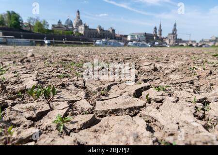 Dresde, Allemagne. 28 avril 2020. Les rives de l'Elbe s'assèchent dans le contexte historique de la vieille ville avec le dôme de l'Académie des Arts (l-r), la Frauenkirche, le Ständehaus, l'Hausmannsturm, la Hofkirche et l'Opéra Semper. Crédit: Robert Michael/dpa-Zentralbild/dpa/Alay Live News Banque D'Images